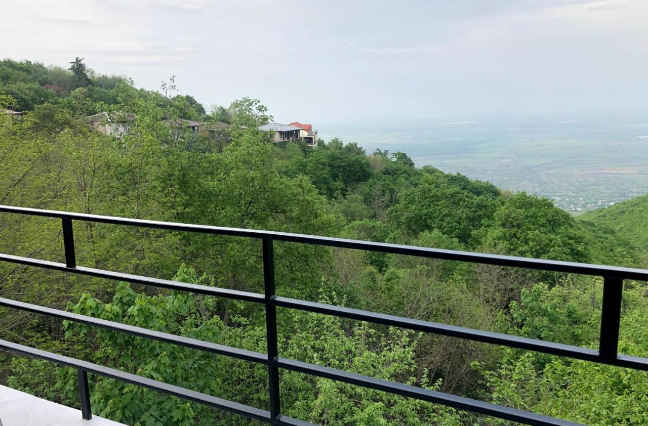 Hotel Martinichi Sighnaghi Esterno foto